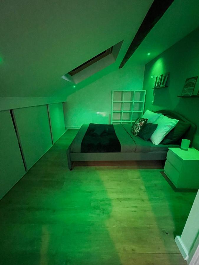Apartmán Grace Cosy Villers-lès-Nancy Exteriér fotografie